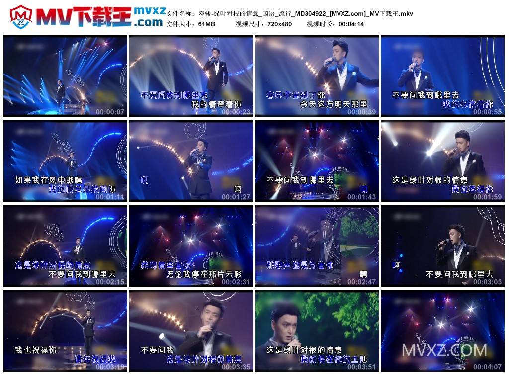 邓骏-绿叶对根的情意_国语_流行_MD304922